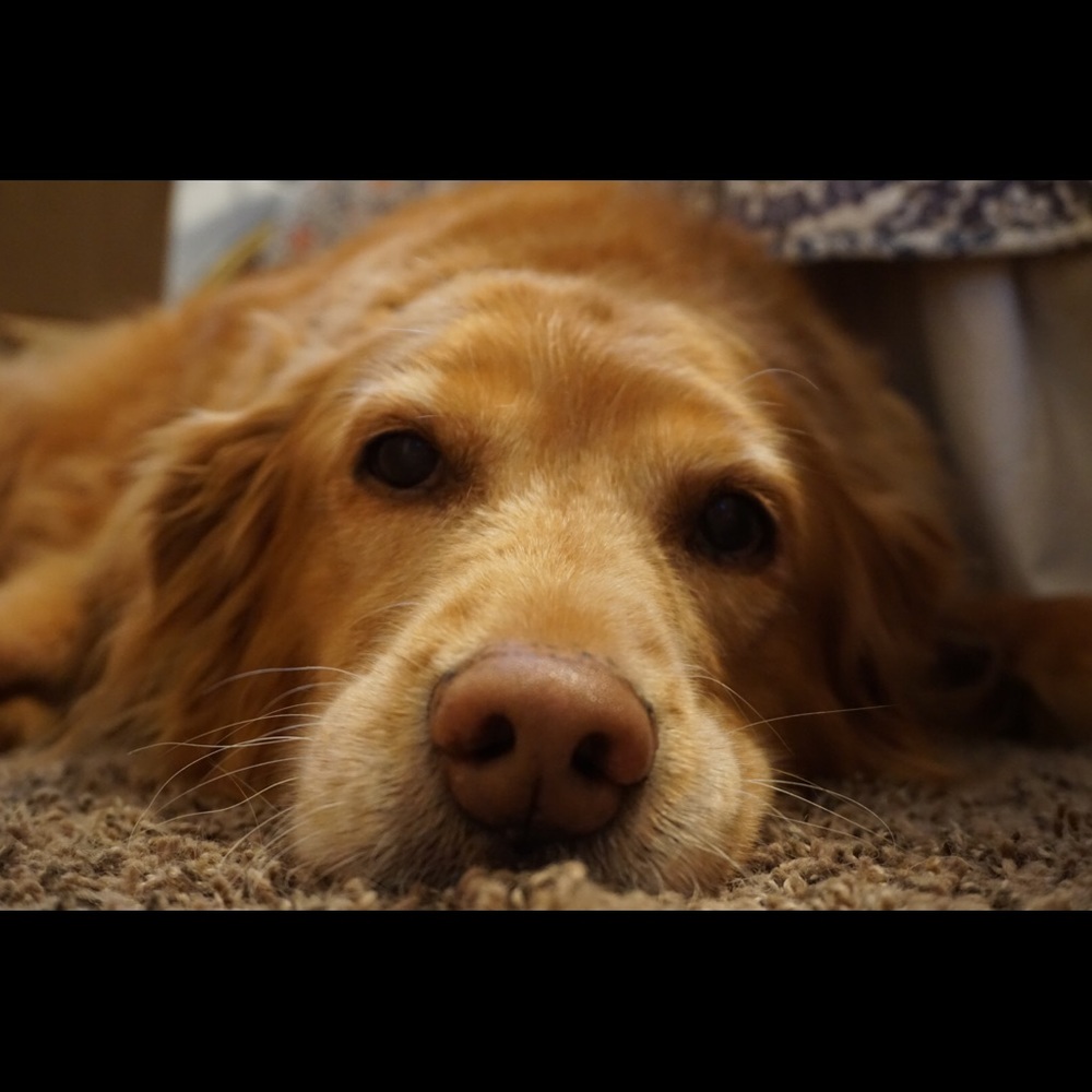 Meet your Posher, Heather